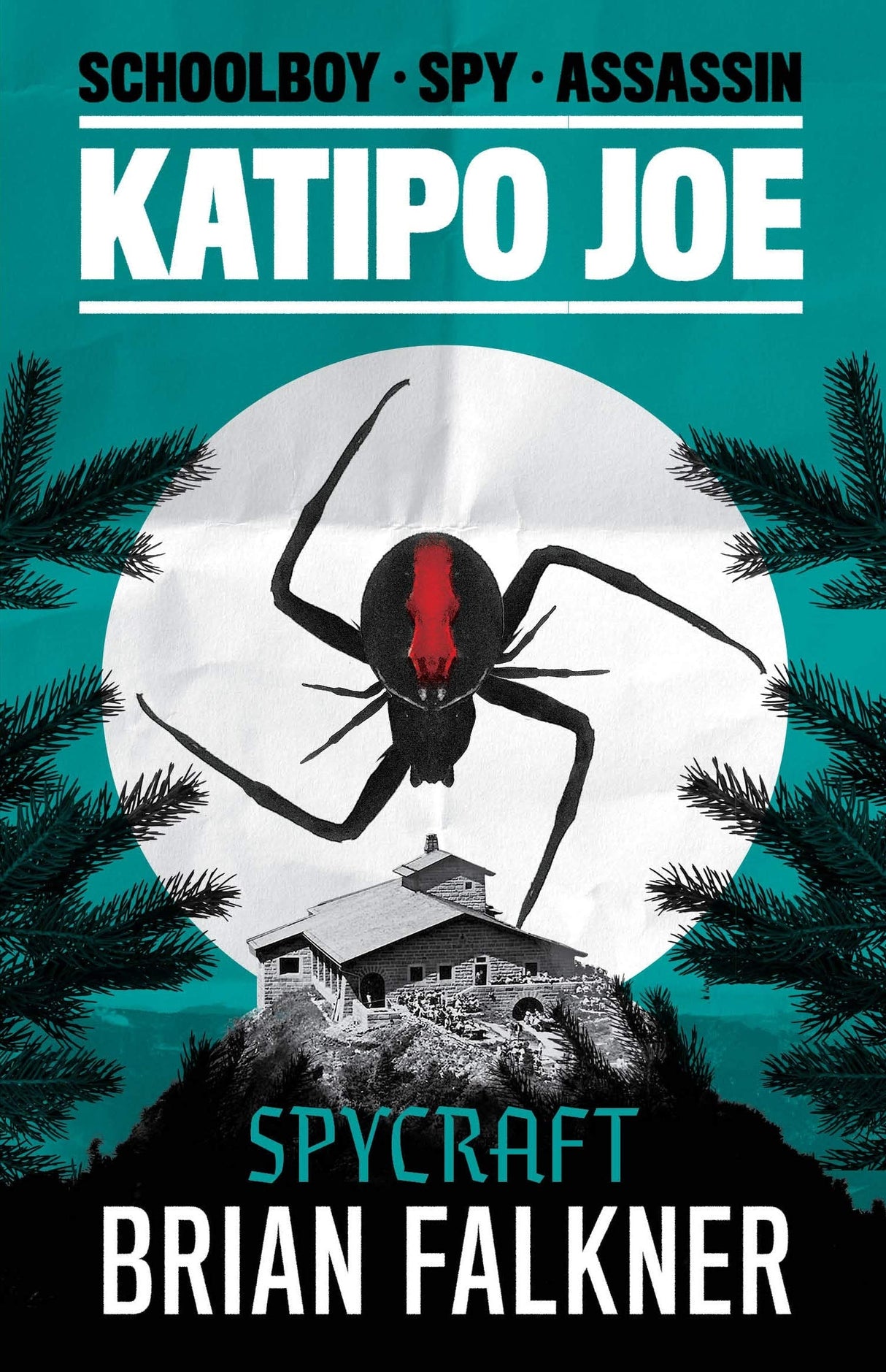KATIPO JOE