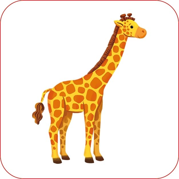 Zoo Matching Games and Book