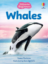 Beginners Whales