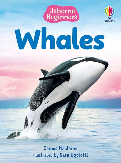 Beginners Whales
