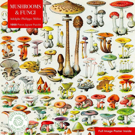 Adult Sustainable Jigsaw Puzzle Mushrooms & Fungi by Adolphe Philippe Millot
