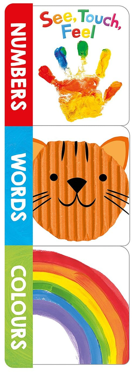 See, Touch, Feel Words, Numbers, Colours (Chunky Set)