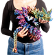 Turtle Creations: Jumbo Dragon - Jumbo Crystal Dragon (Paua Pearl)
