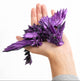 Turtle Creations: Book Companion Dragons Limited Edition - Black and Purple Baby Crystalwing / Regular