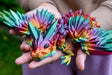 Turtle Creations: Baby Crystalwing Dragon - Rainbow / Large Baby