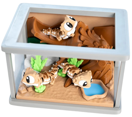 Turtle Creations: Bearded Dragon Terrarium