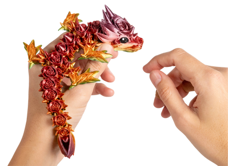 Turtle Creations: Baby Rose Dragon - Rainbow / Small Baby