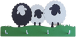 Ian Blackwell: Key-wi As Keyholders - Sheep