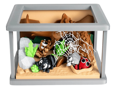Turtle Creations: Spider Enclosure & 3 Spiders