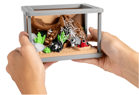 Turtle Creations: Spider Enclosure & 3 Spiders