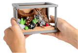 Turtle Creations: Spider Enclosure & 3 Spiders