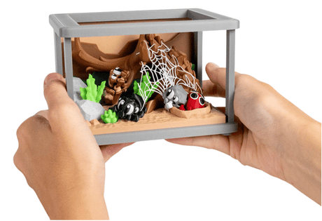Turtle Creations: Spider Enclosure & 3 Spiders