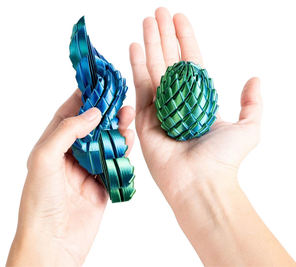 Turtle Creations: Twisty Dragon Egg Fidget Toy - Paua Pearl