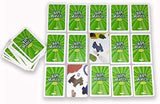 I Spy Card Game - Match