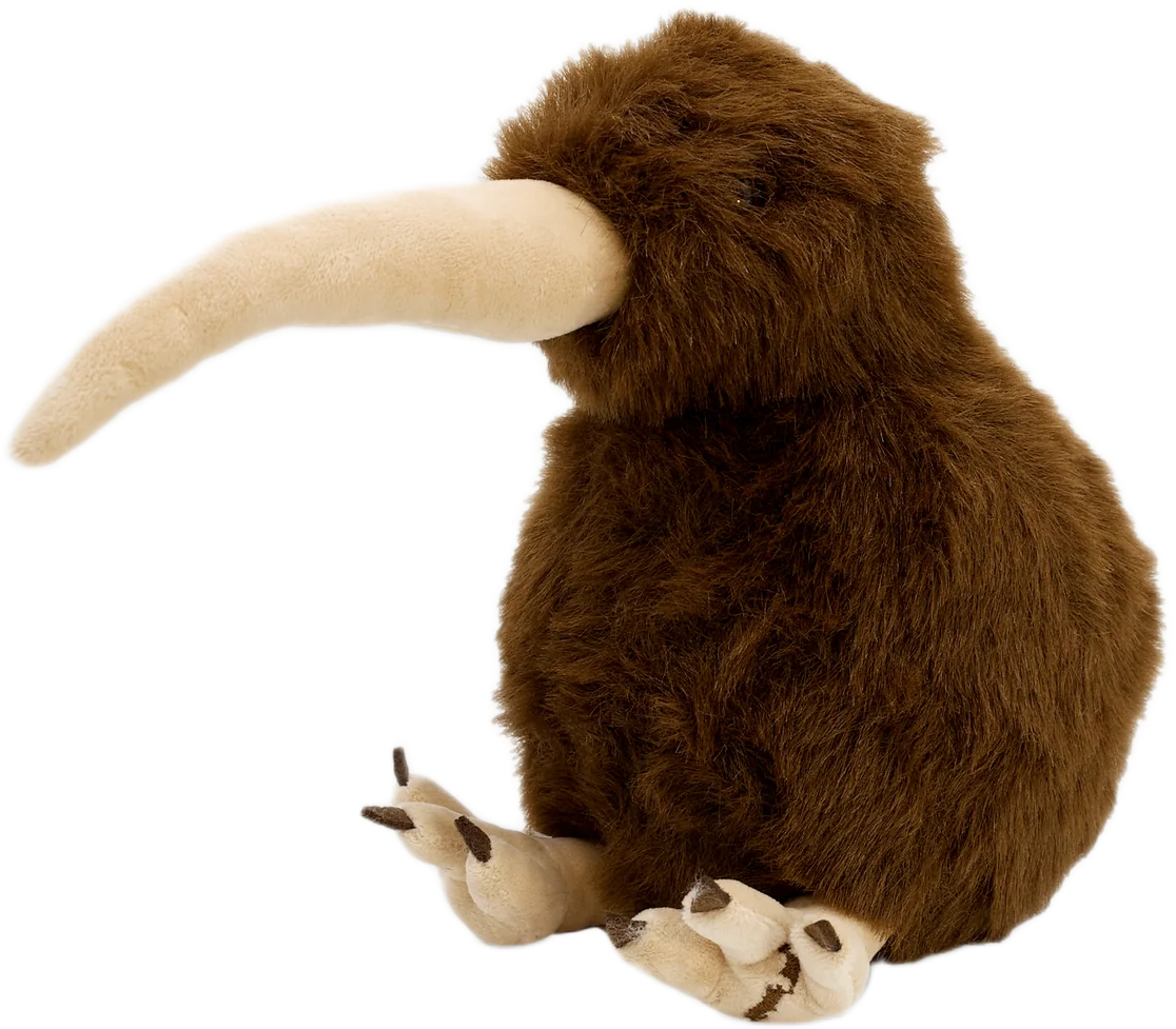 Moana Road: Barry the Brown Kiwi Toy - Medium