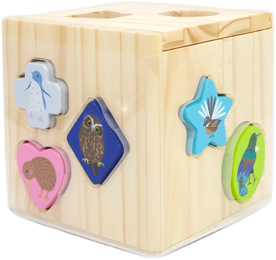 Moana Road: Shape Sorter