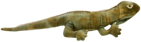 Moana Road: Trevor the Tuatara Toy