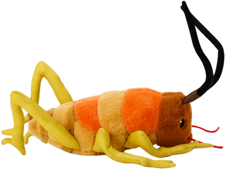 Moana Road: Wiremu the Wētā Toy